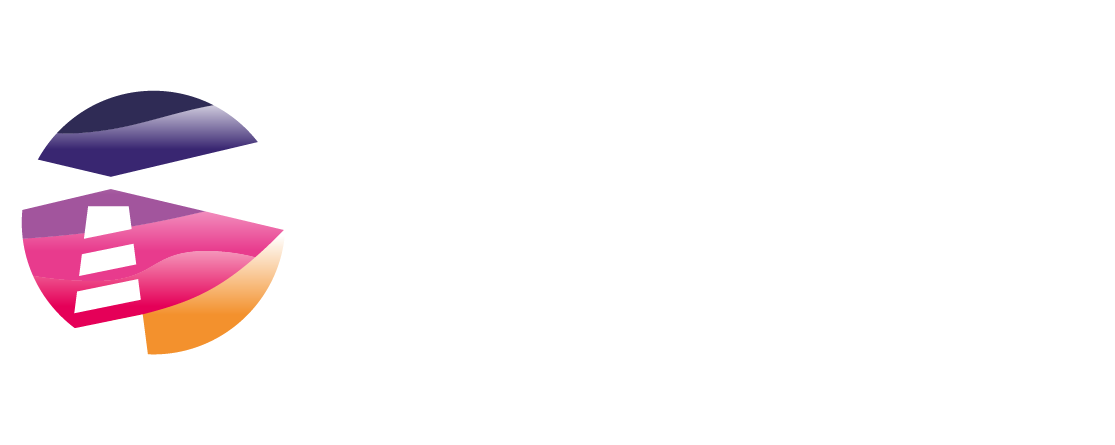 Web Conseil Stratégie
